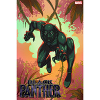Black Panther #23 (cover b)