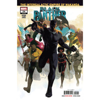 Black Panther #24 (regular cover)