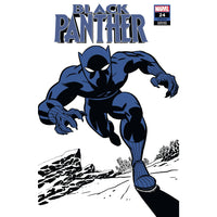 Black Panther #24 (cover c)