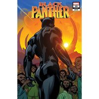 Black Panther #25 (Stelfreeze Final Issue variant)