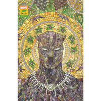 Black Panther #25 (Cassara Stormbreakers variant)