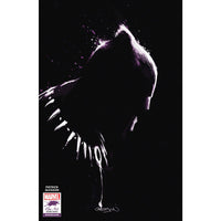 Black Panther #25 (Gleason Stormbreakers variant)