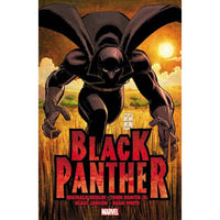 Black Panther: Who Is The Black Panther