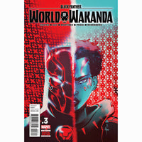 Black Panther: World Of Wakanda #3