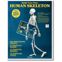 Build Your Own Human Skeleton – Life Size!