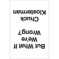 But What If We're Wrong?: Thinking About the Present As If It Were the Past