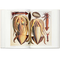 Cabinet of Natural Curiosities