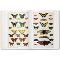 Cabinet of Natural Curiosities