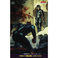 Catwoman #16 (cover b)