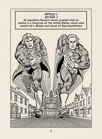 Constitution Illustrated: Sampler