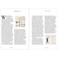 The Cosmic Dance: Finding Patterns and Pathways in a Chaotic Universe