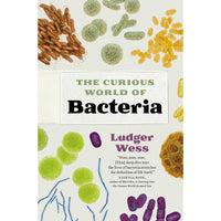 The Curious World of Bacteria