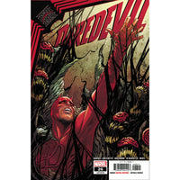 Daredevil #26