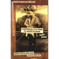 A Supposedly Fun Thing I'll Never Do Again: Essays and Arguments