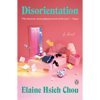 Disorientation: A Novel