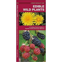 Edible Wild Plants: A Folding Pocket Guide to Familiar North American Species