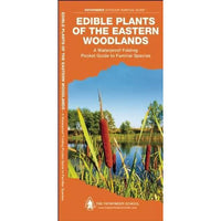 Edible Plants of the Eastern Woodlands: A Folding Pocket Guide to Familiar Species