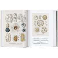 Ernst Haeckel