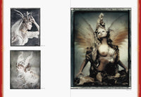 Erotica In Japanese Contemporary Art II: Contemporary Art, Hyperrealism, Photography and Steampunk