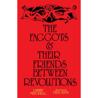 The Faggots and Their Friends Between Revolutions