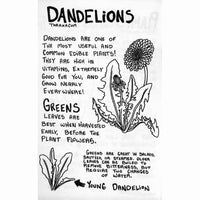 Gatherer: A Pocket Foraging Handbook