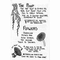 Gatherer: A Pocket Foraging Handbook