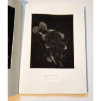 In Full Flower Let Night Come