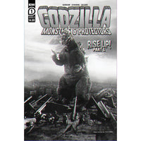 Godzilla: Monsters And Protectors #1 (cover b)