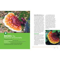 How to Forage for Mushrooms without Dying