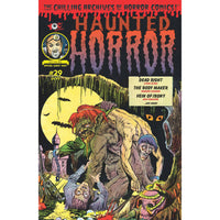 Haunted Horror #29