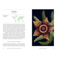 The Hidden Histories of Houseplants