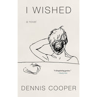 I Wished: A Novel