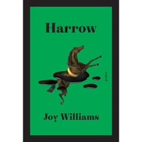 Harrow: A Novel