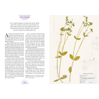 Kew: The Witch's Garden