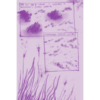 Ley Lines #16: Recapitulation