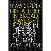 Like a Thief in Broad Daylight: Power in the Era of Post-Human Capitalism