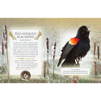 The Little Book of Backyard Bird Songs