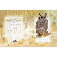 The Little Book of Backyard Bird Songs