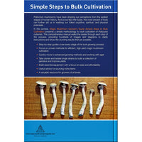 Magic Mushroom Grower's Guide: Simple Steps to Bulk Cultivation