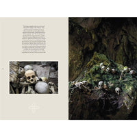 Memento Mori: The Dead Among Us