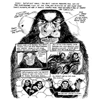 Monkey Chef Volume 1