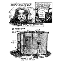 Monkey Chef Volume 1