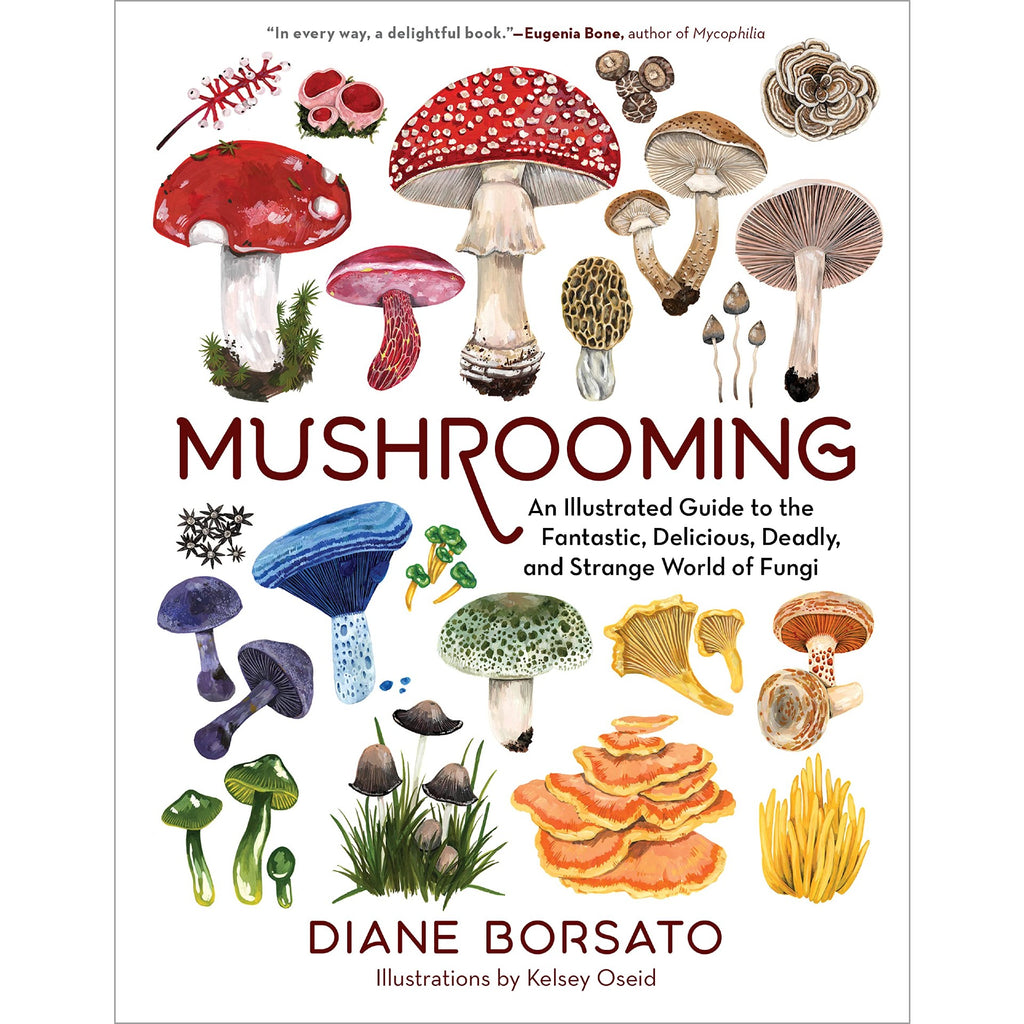 Mushrooming: An Illustrated Guide to the Fantastic