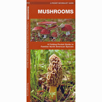 Mushrooms: A Folding Pocket Guide to Familiar North American Species