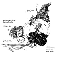 Native Harvests: American Indian Wild Foods and Recipes