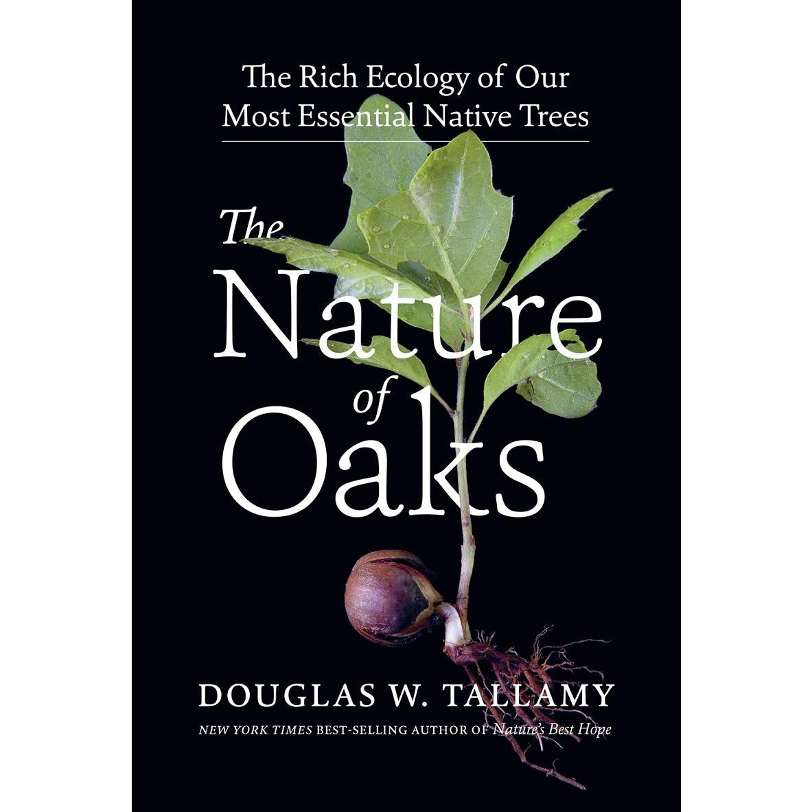 The Nature of Oaks: The Rich Ecology of Our Most Essential Native