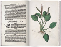 Leonhart Fuchs: The New Herbal of 1543