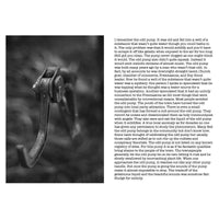 Optical Prevarication