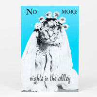 Nights In The Alley Postcard