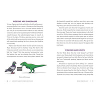 A Pocket Guide to Pigeon Watching: Getting to Know the World's Most Misunderstood Bird